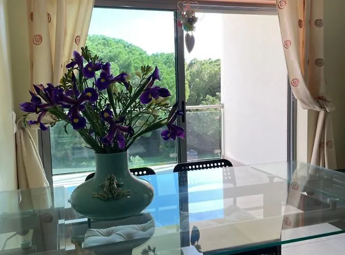 Delightful Vacations In Algarve